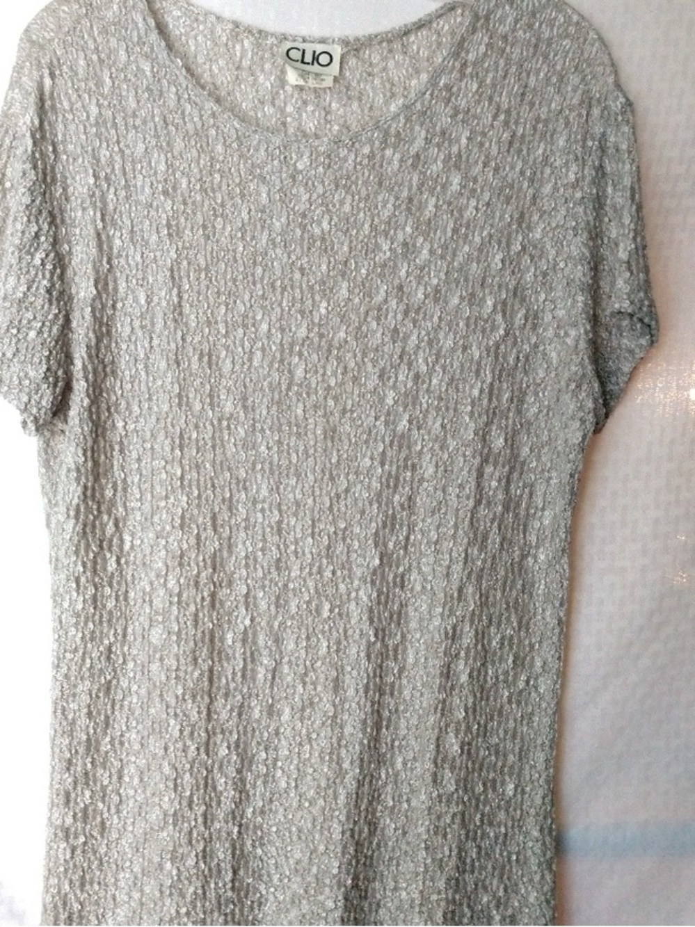 Clio Metallic Silver Short-Sleeve Textured Tee